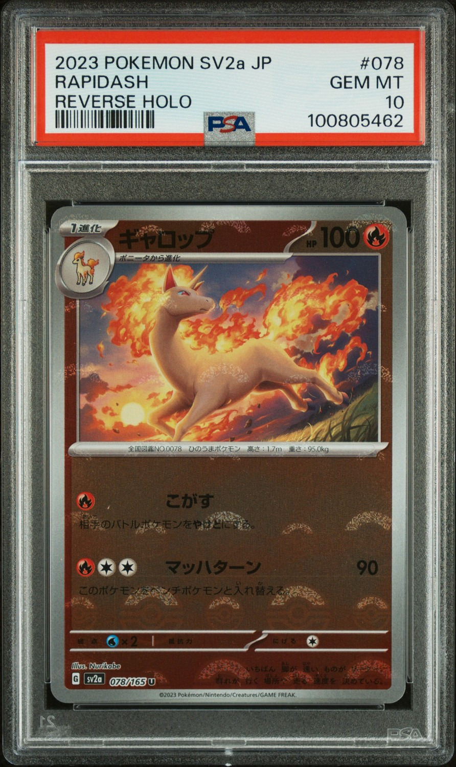 Reverse Holo