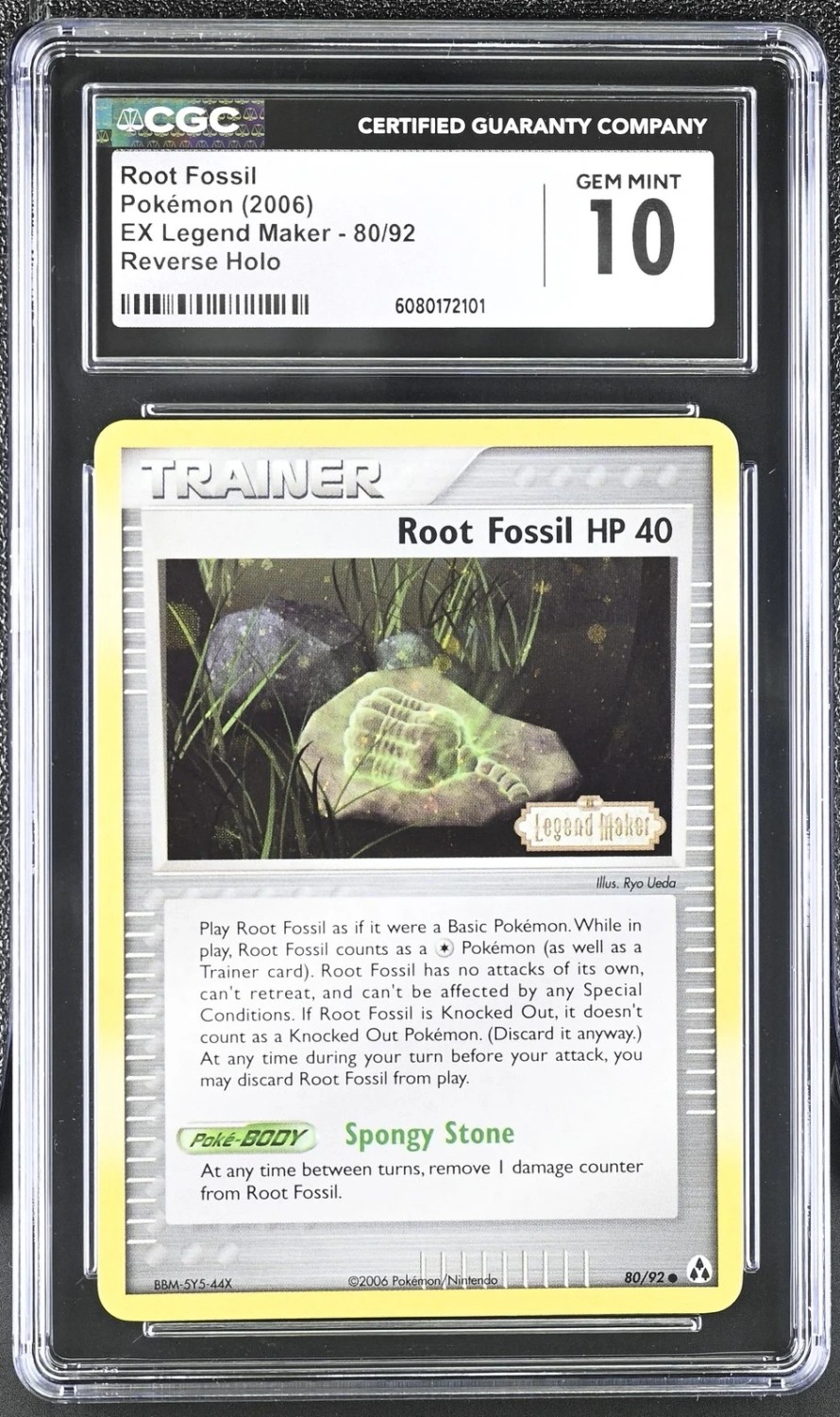 Root Fossil