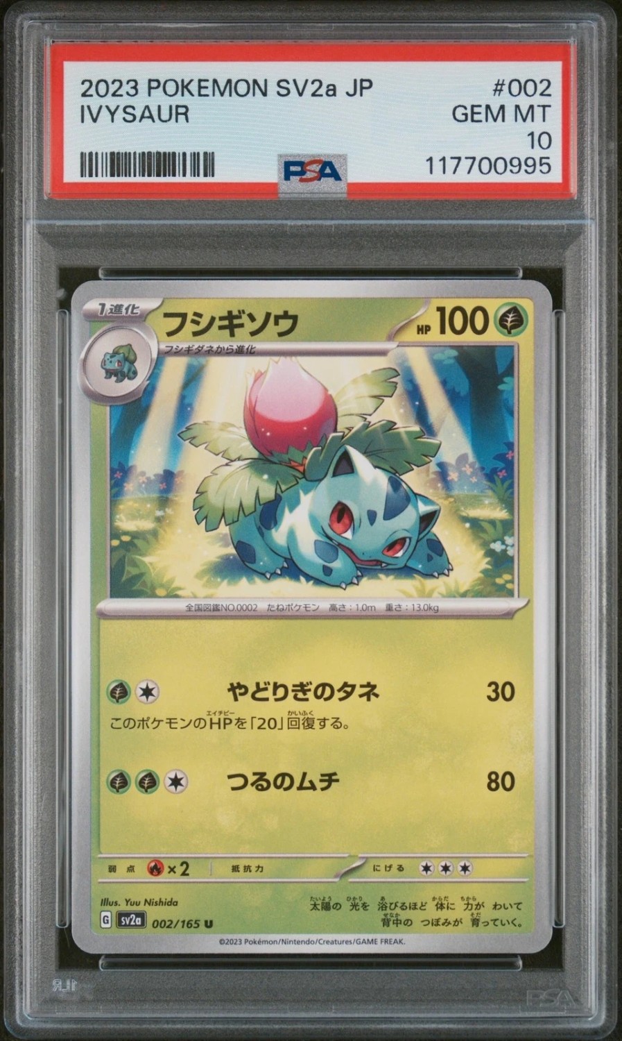 IVYSAUR