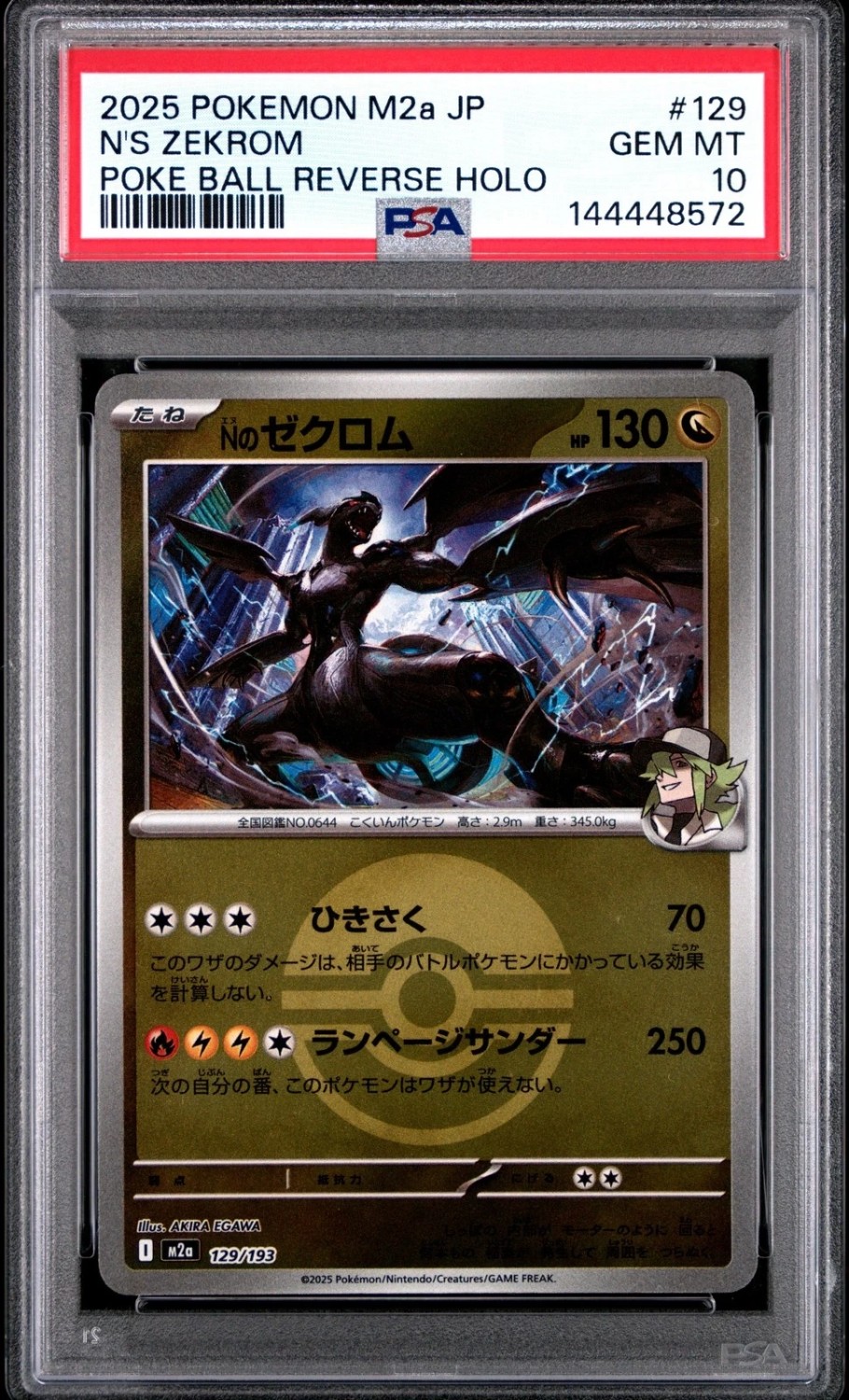 N's Zekrom