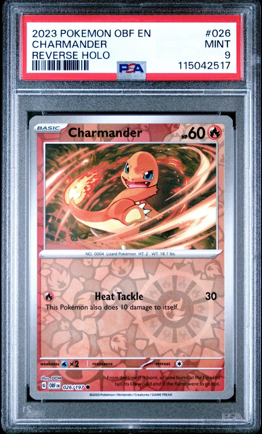 Charmander