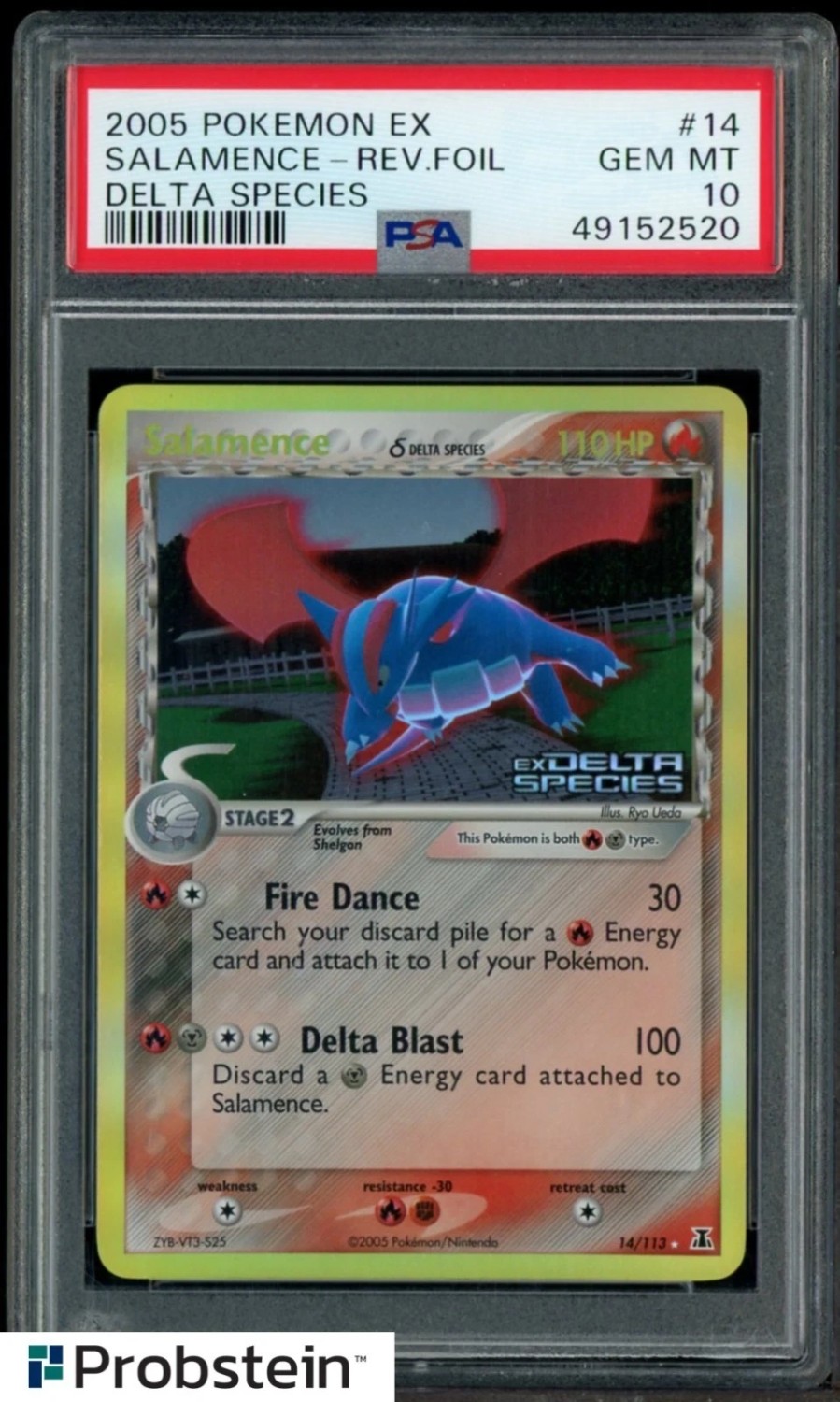 Salamence