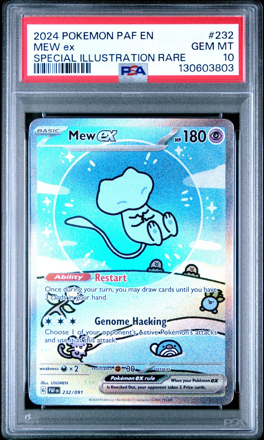 MEW ex