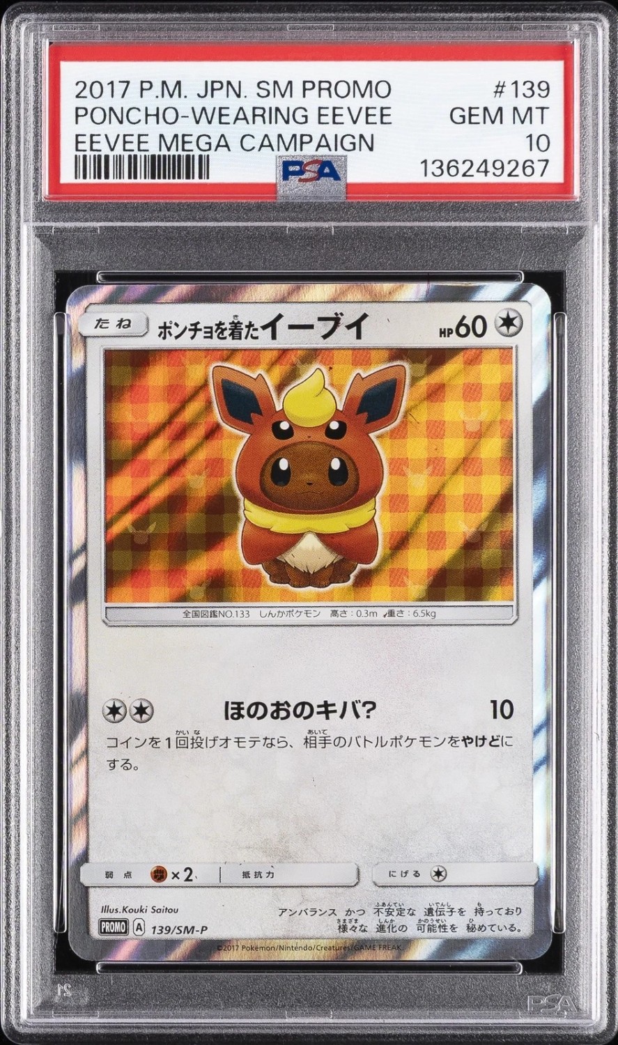 Poncho-Wearing Eevee