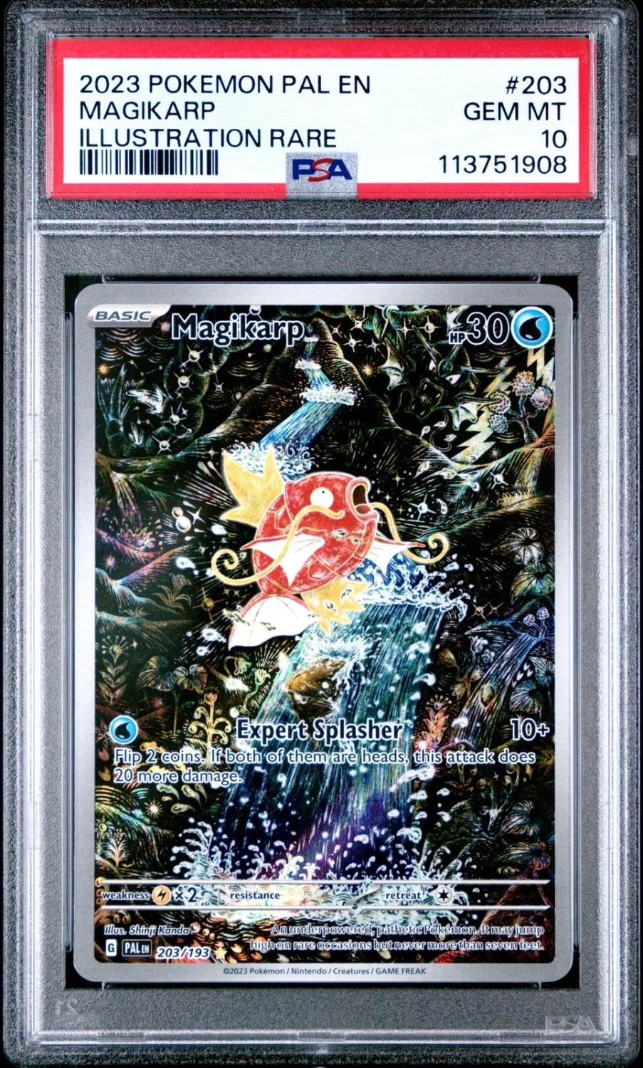 Magikarp