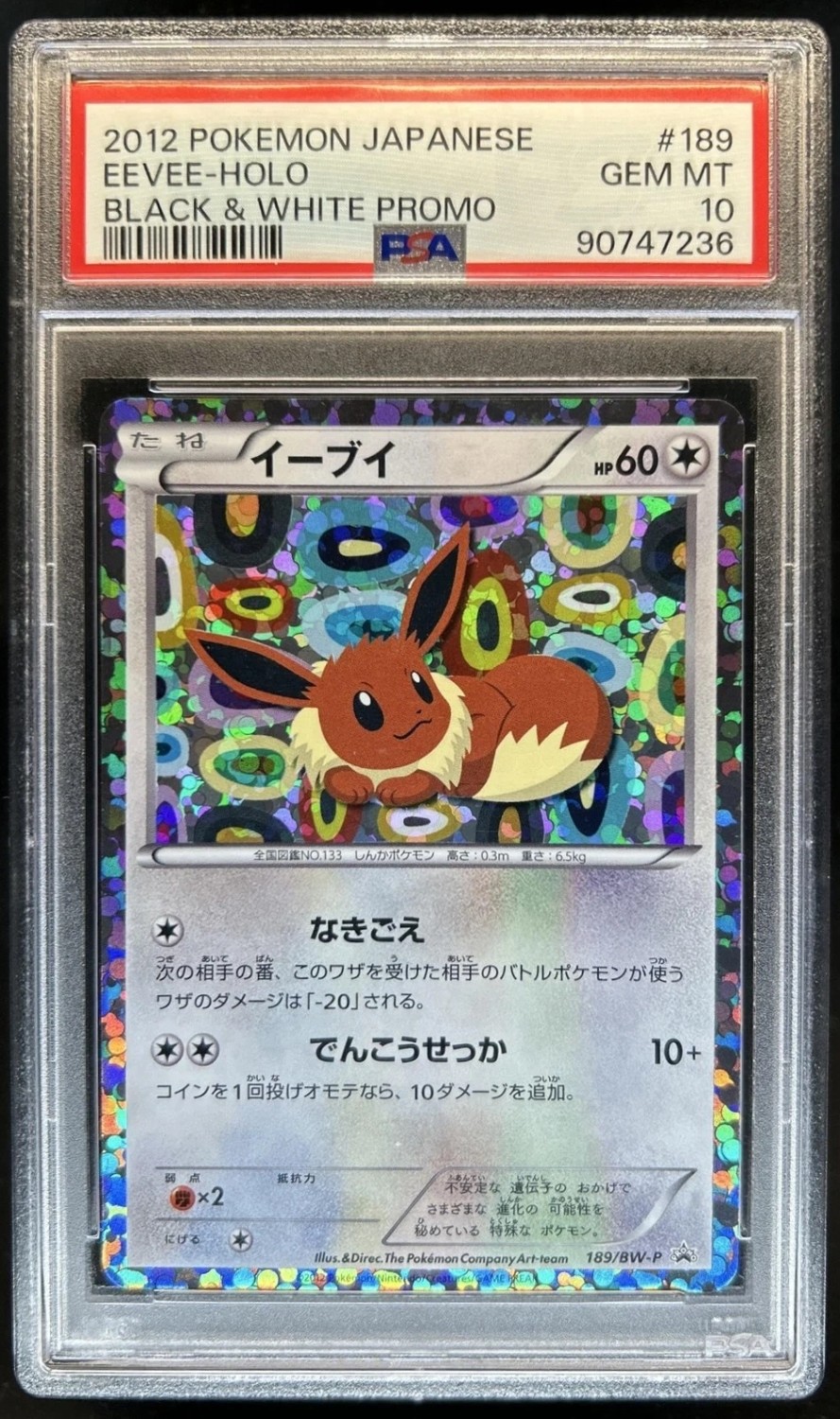 Eevee
