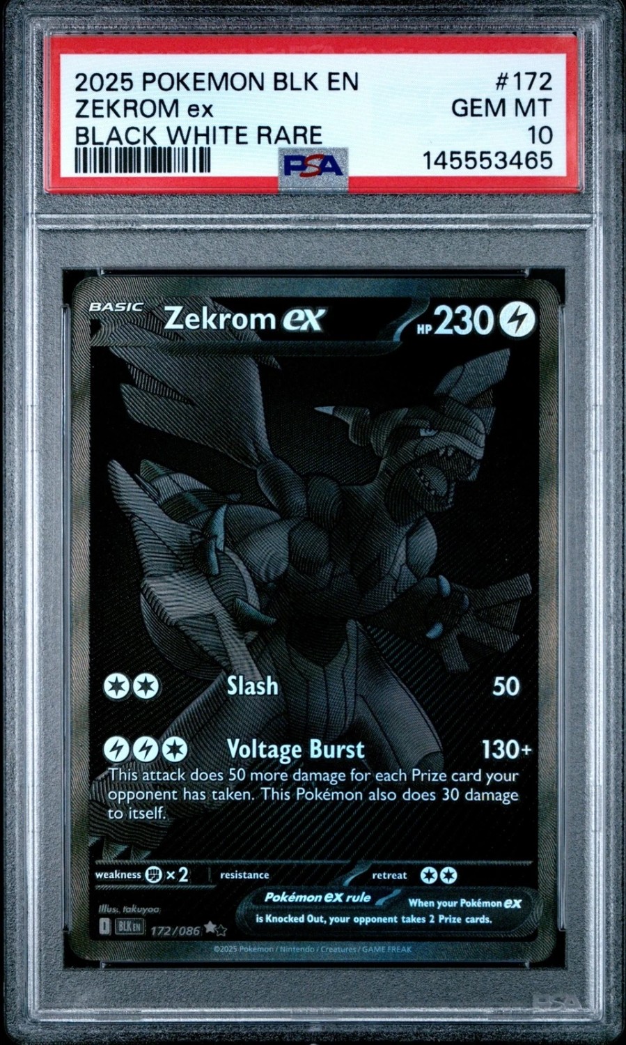 ZEKROM ex