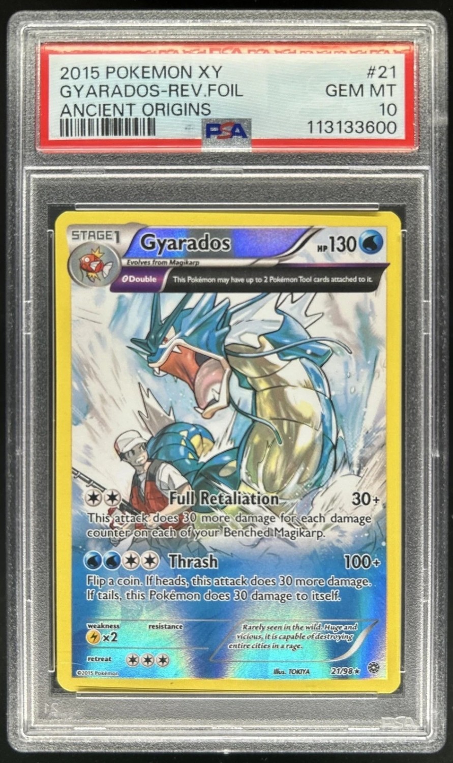 GYARADOS