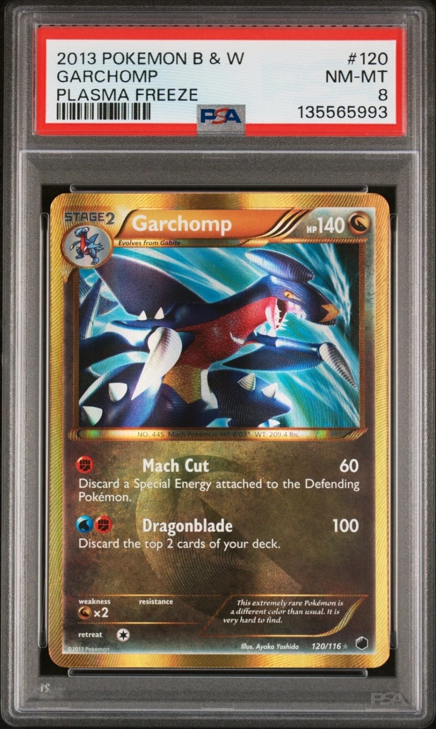 Garchomp