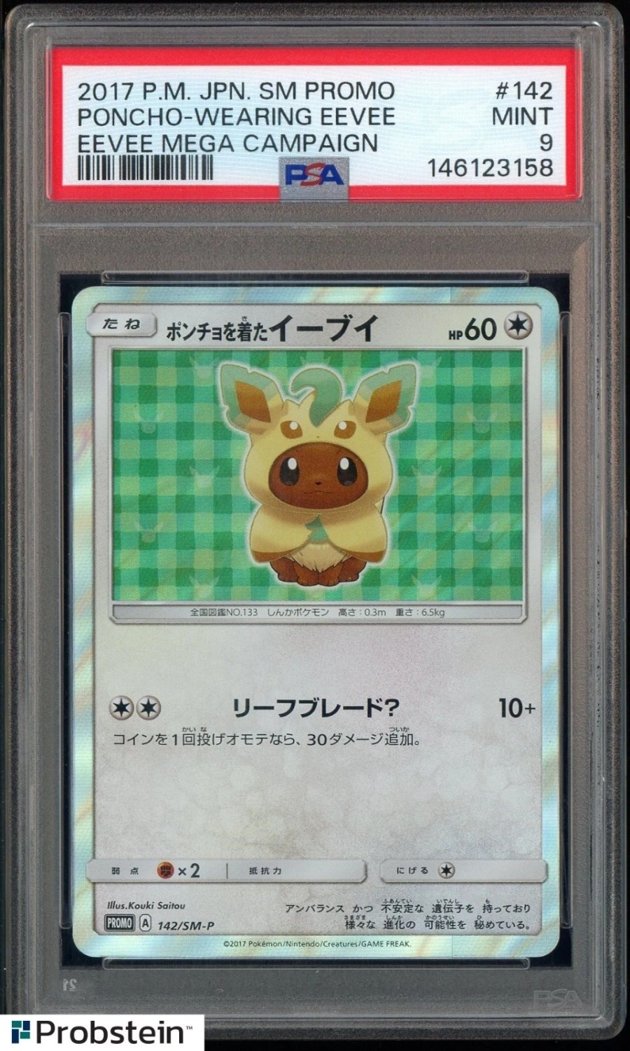 Poncho-Wearing Eevee