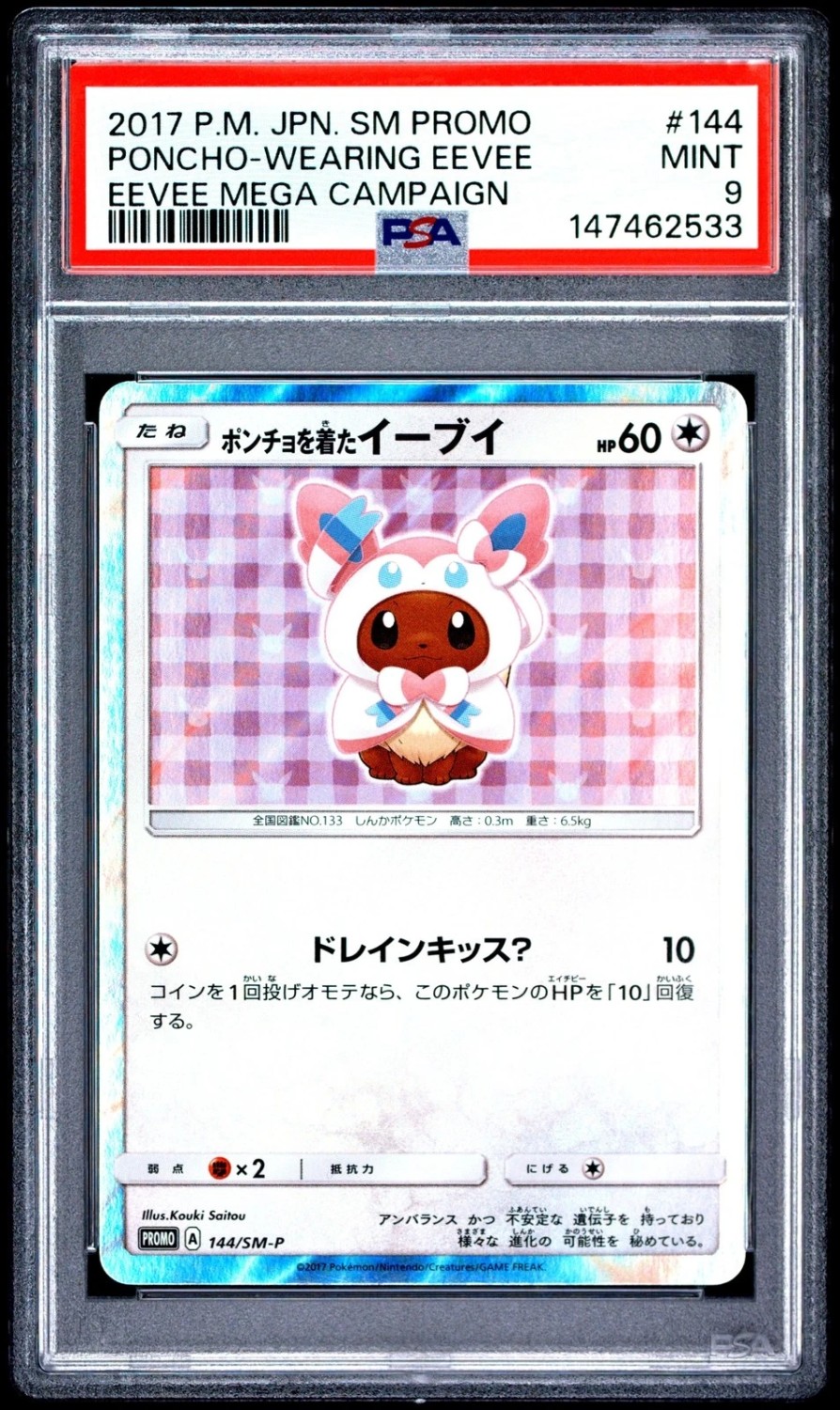 Poncho-Wearing Eevee