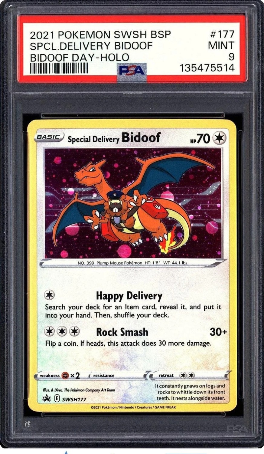 Special Delivery Bidoof