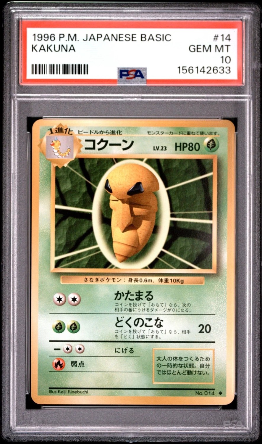 Kakuna