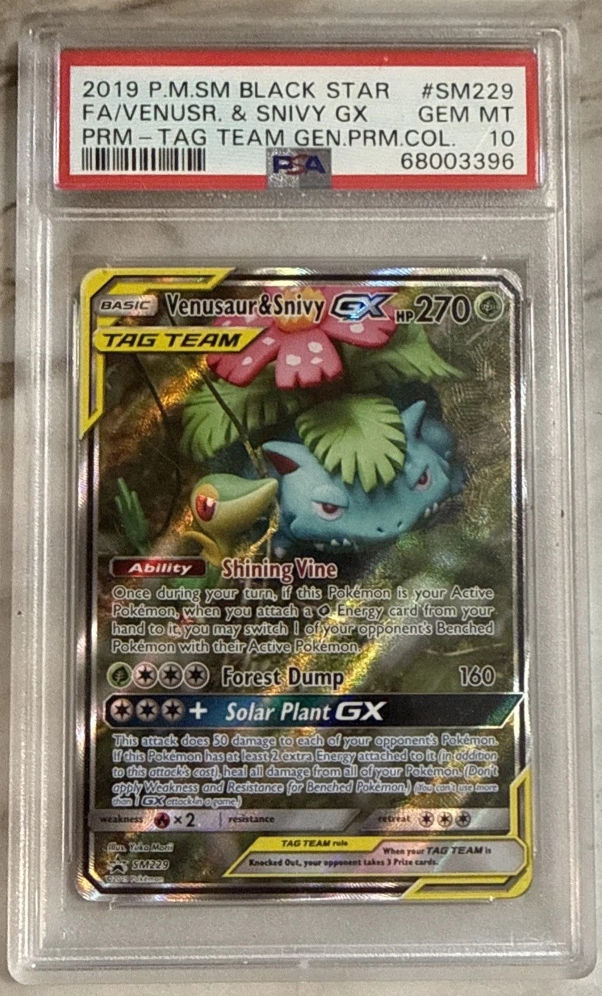 Venusaur & Snivy GX