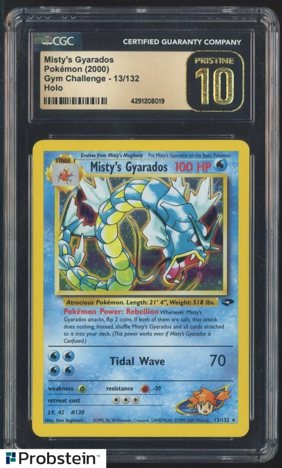 Misty's Gyarados