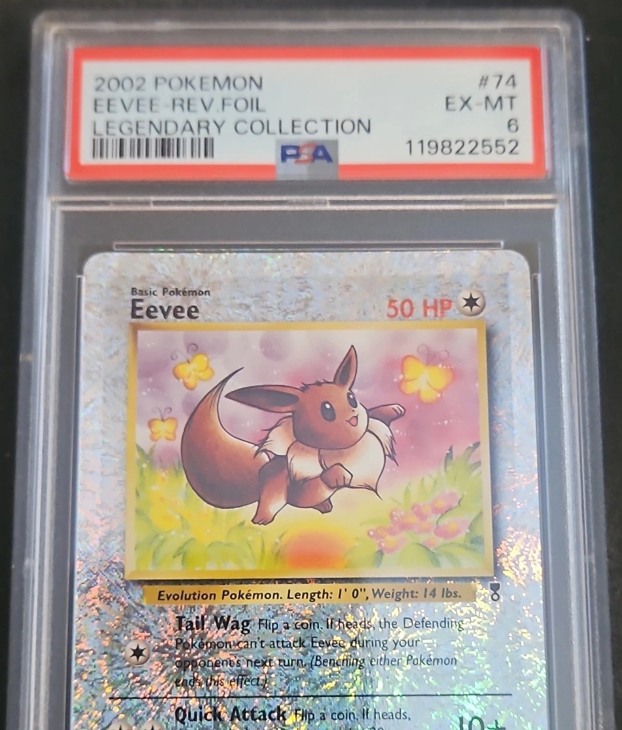 EEVEE