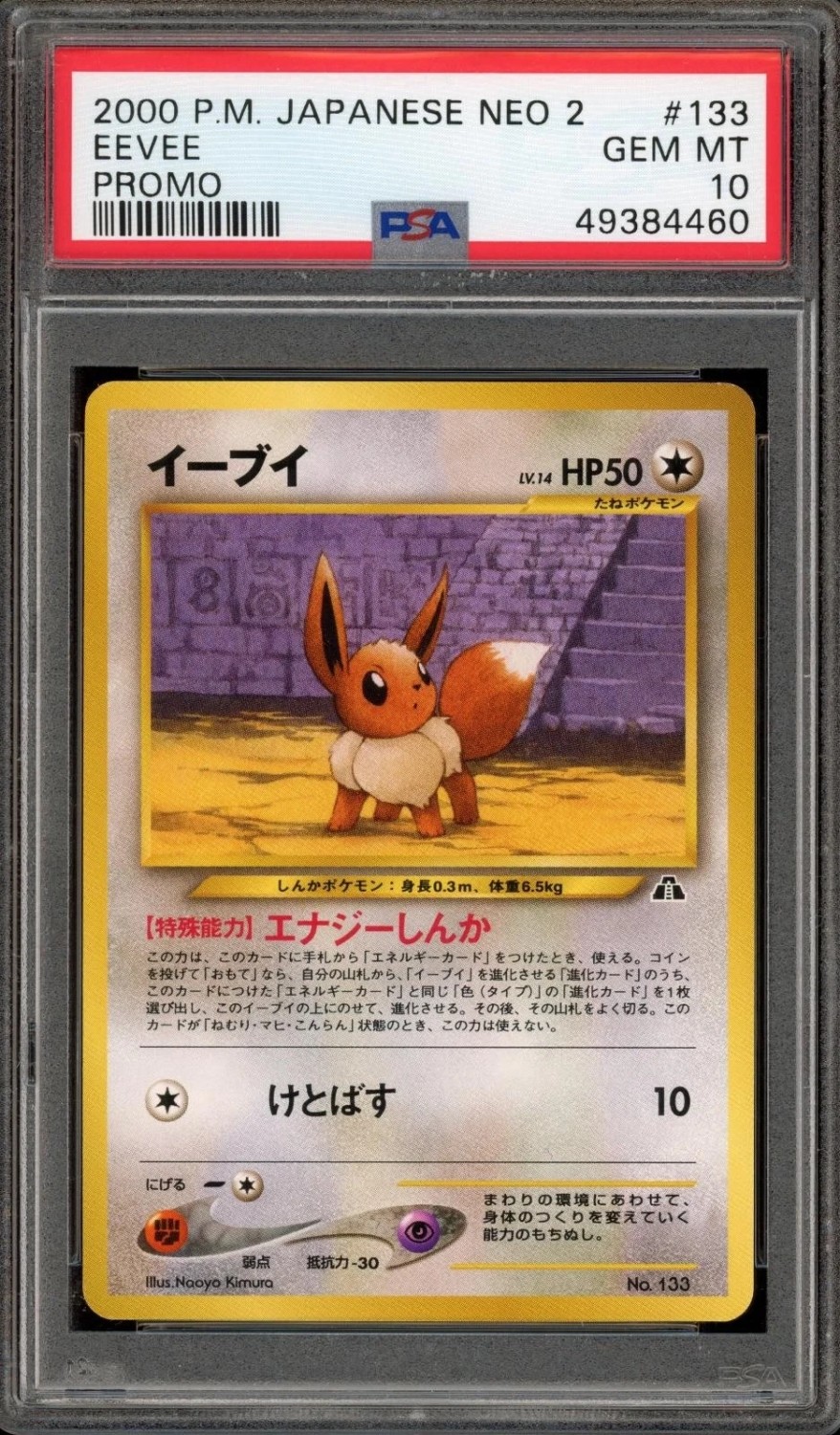 Eevee