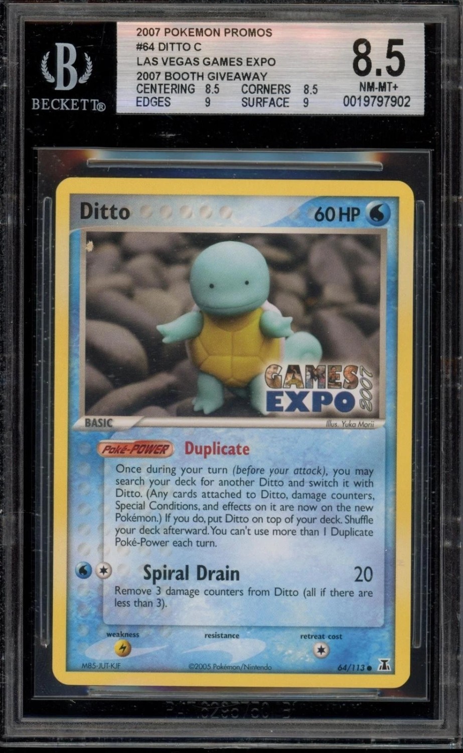 Ditto [Squirtle]