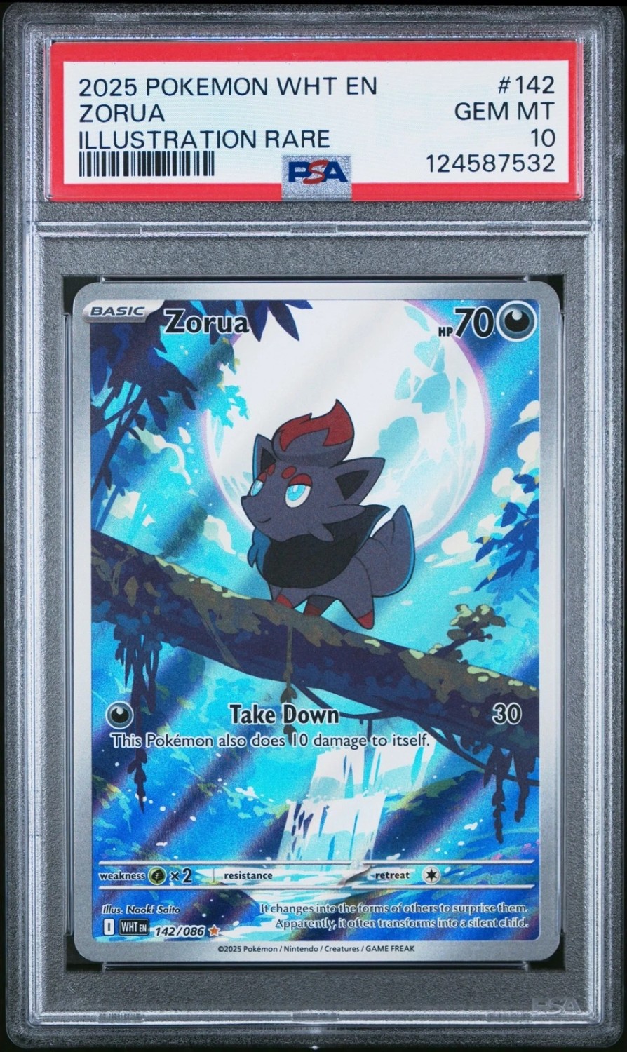 Zorua