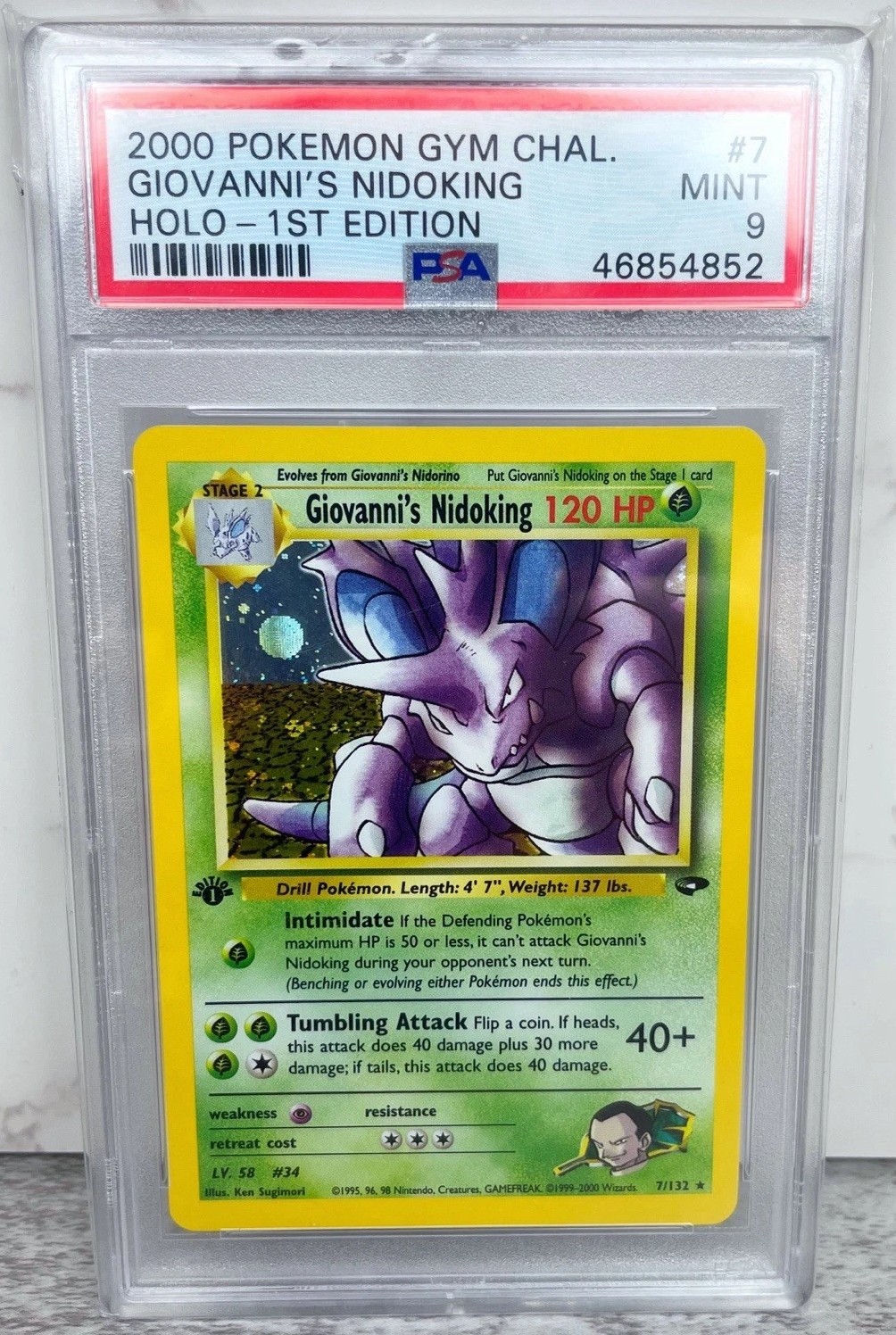 Giovanni's Nidoking