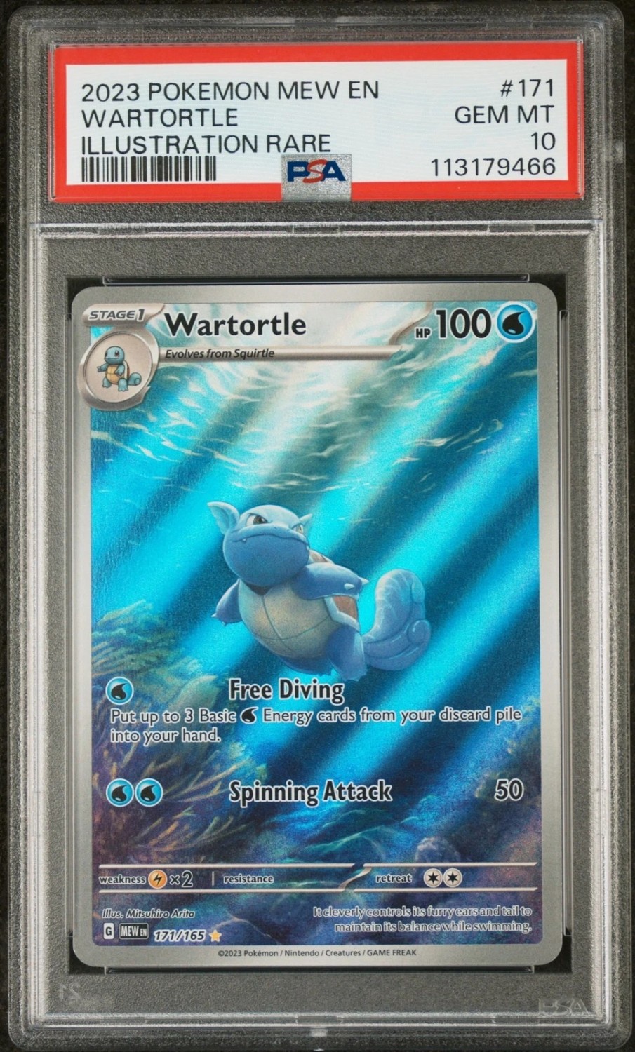 Wartortle