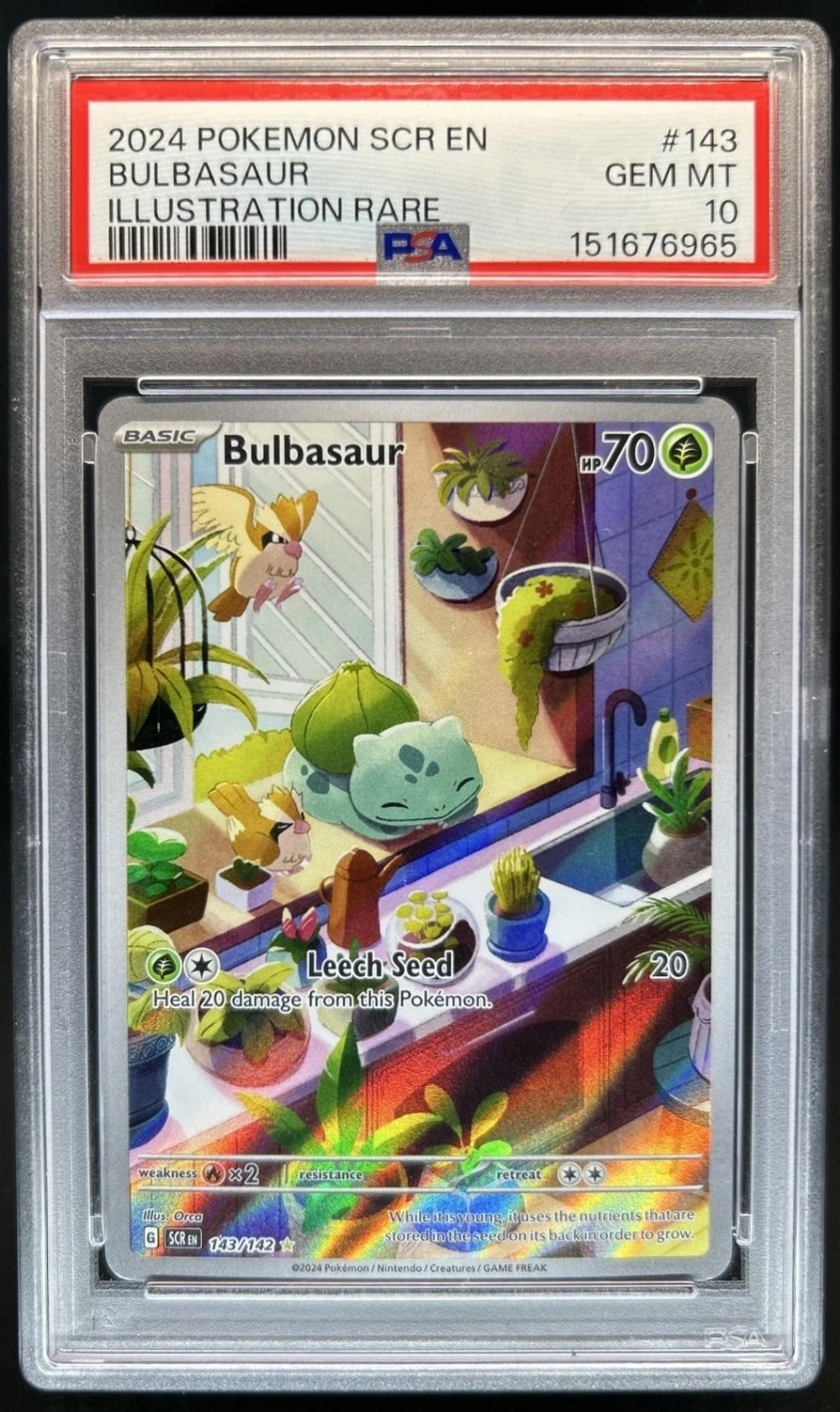 Bulbasaur