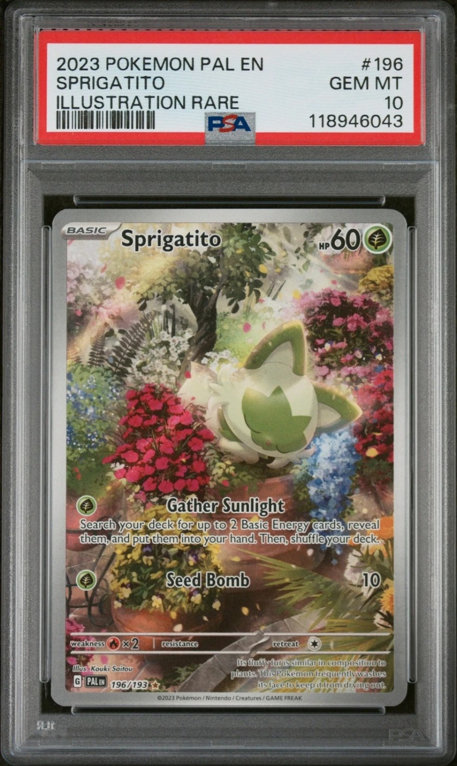 Sprigatito