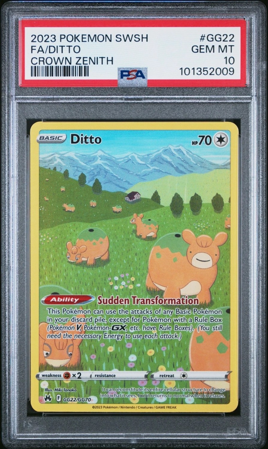 Ditto
