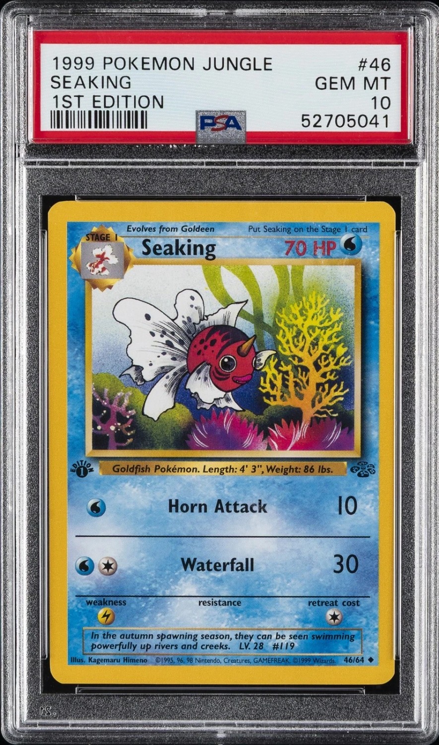 Seaking