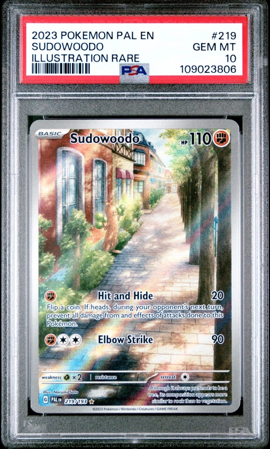 Sudowoodo