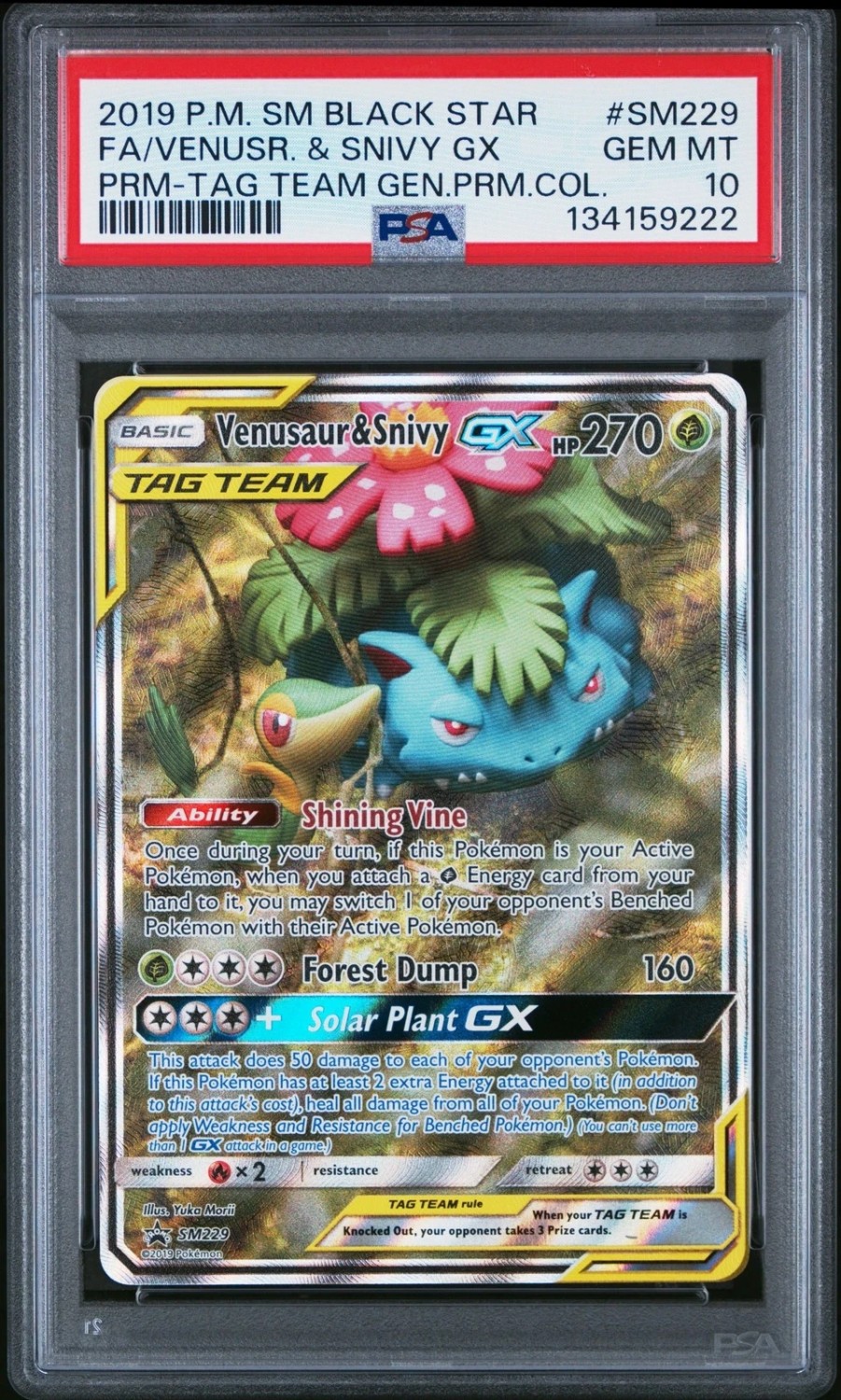 Venusaur & Snivy GX