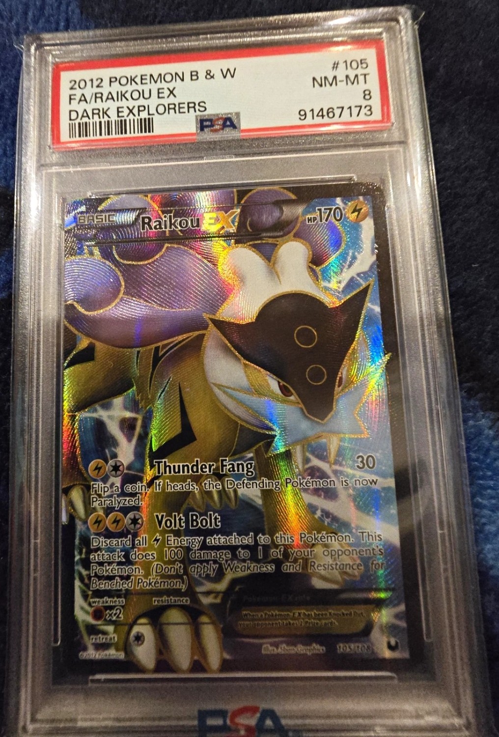 Raikou EX