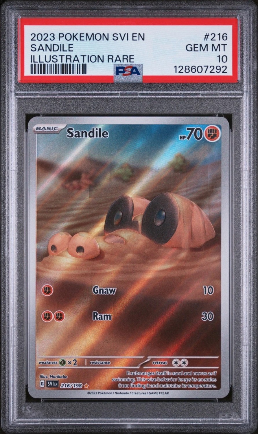 Sandile