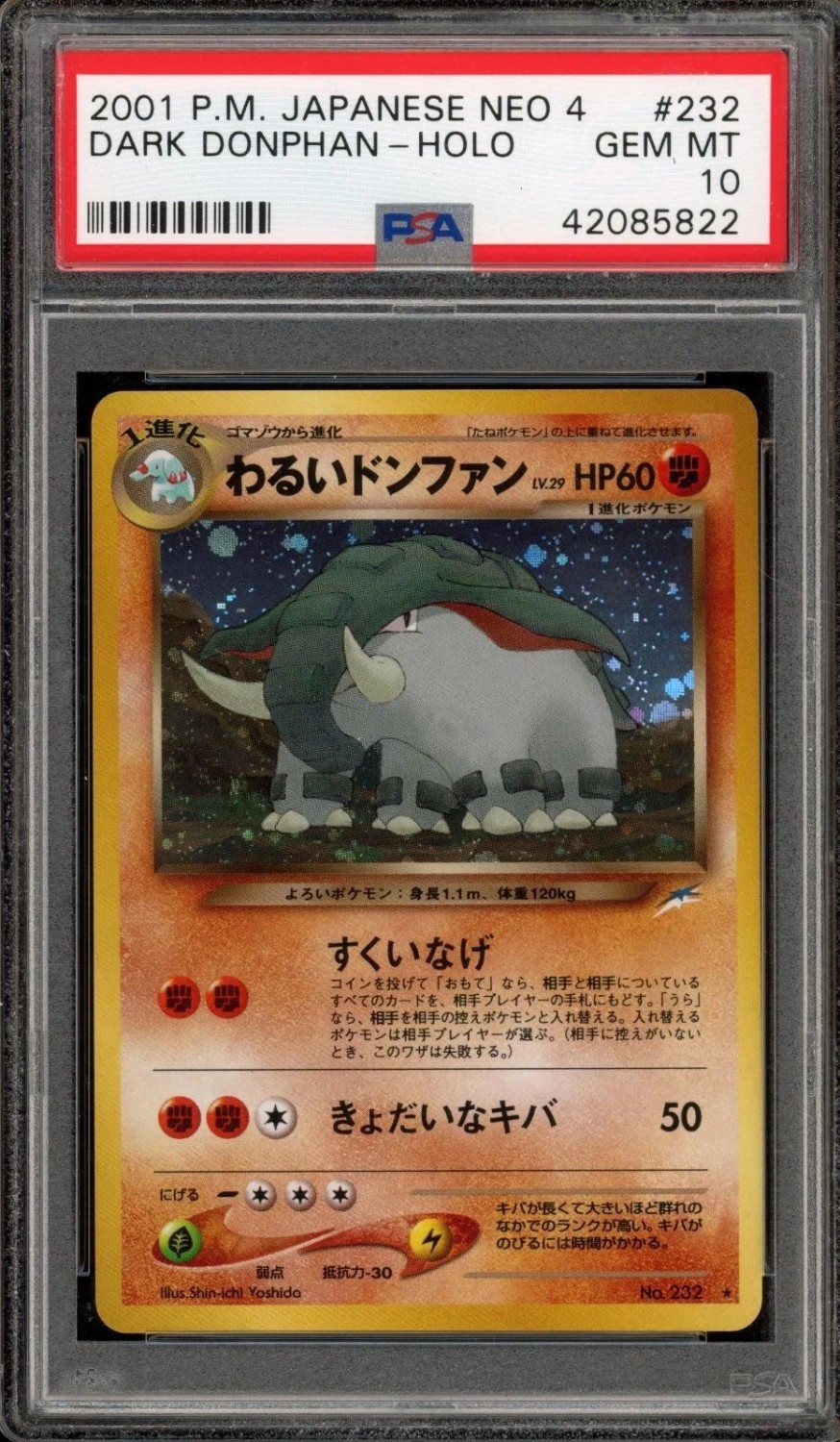 Dark Donphan