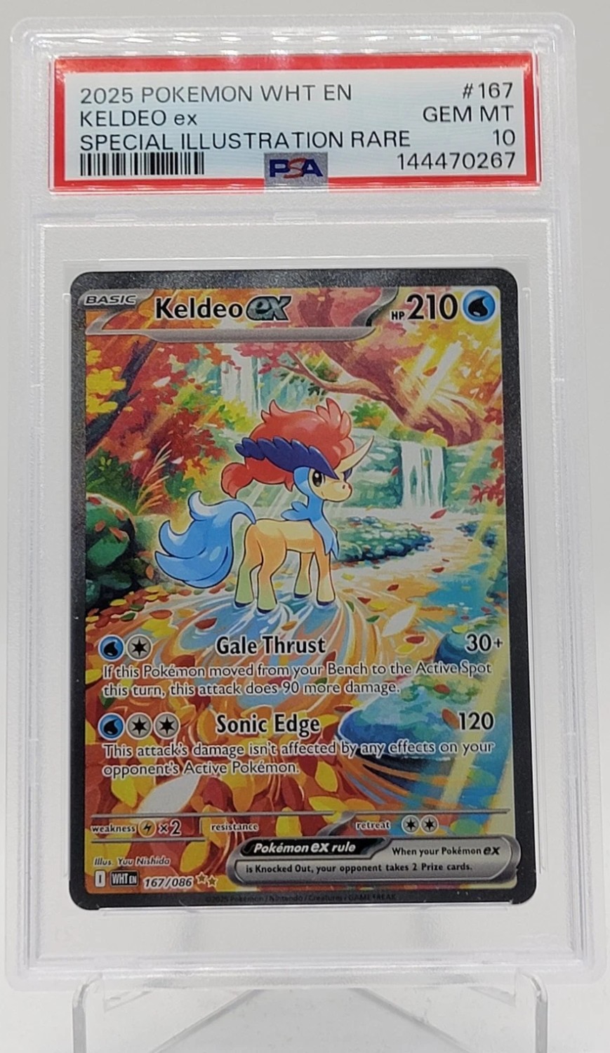 KELDEO ex