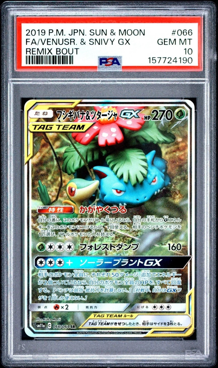 Venusaur & Snivy GX
