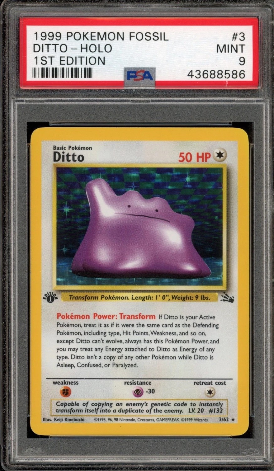 Ditto