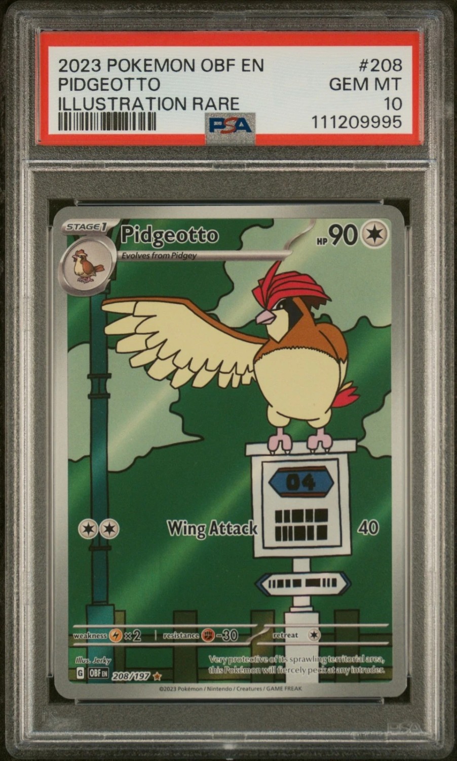Pidgeotto