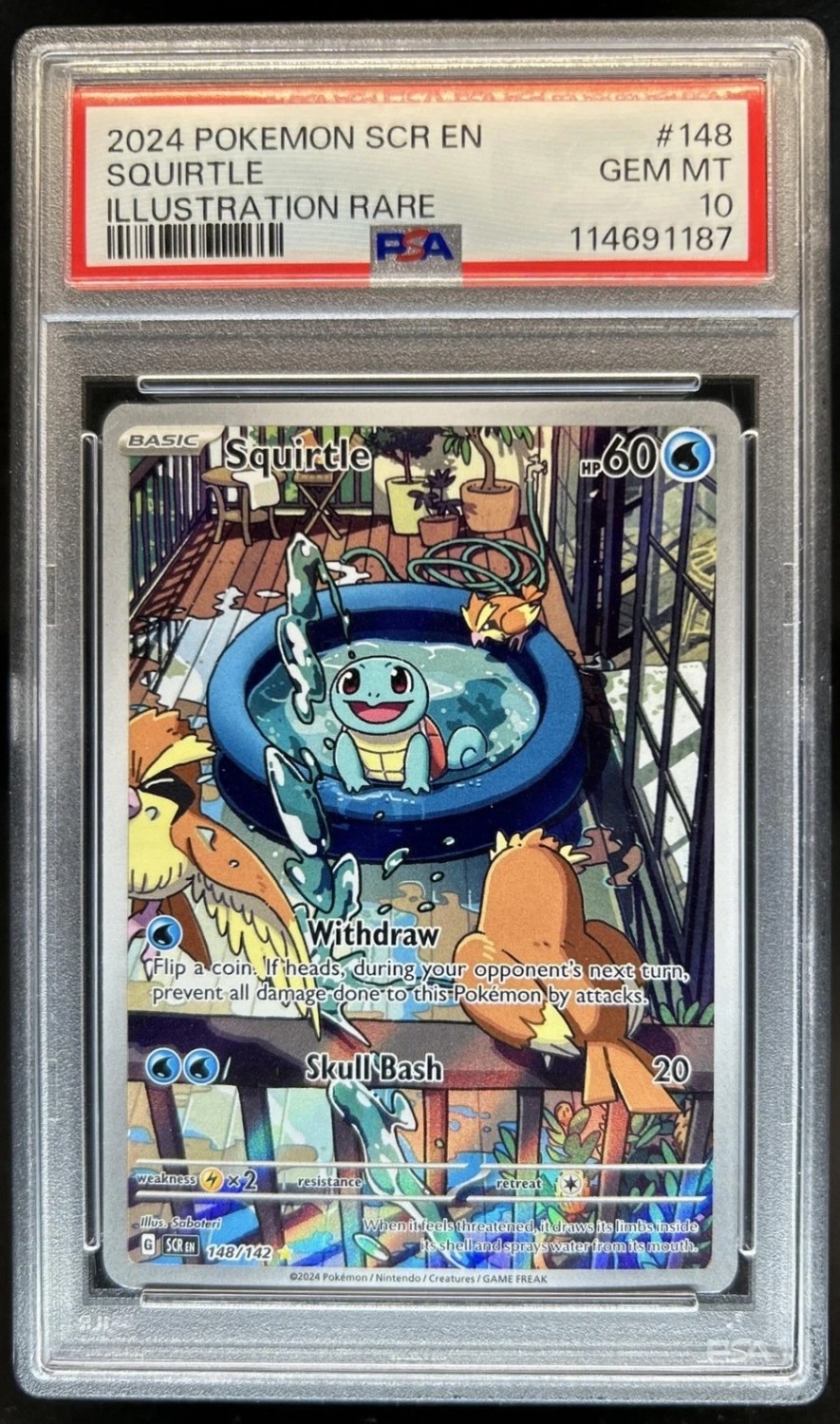Squirtle
