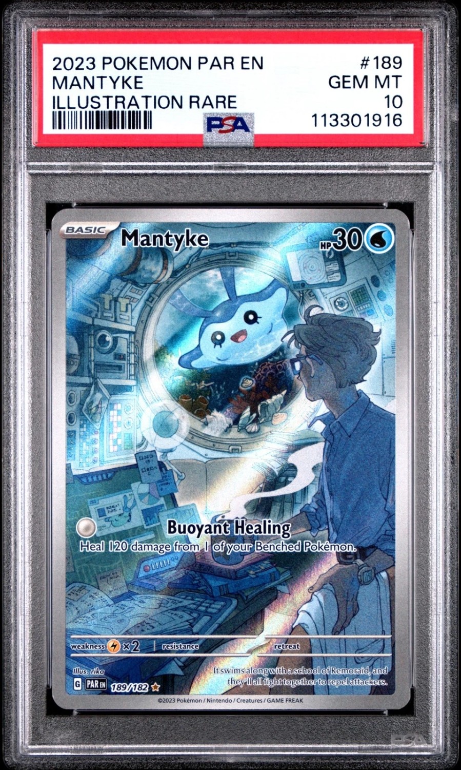 Mantyke