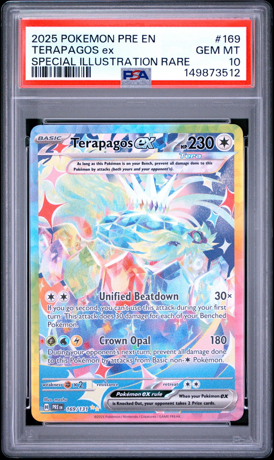 TERAPAGOS ex