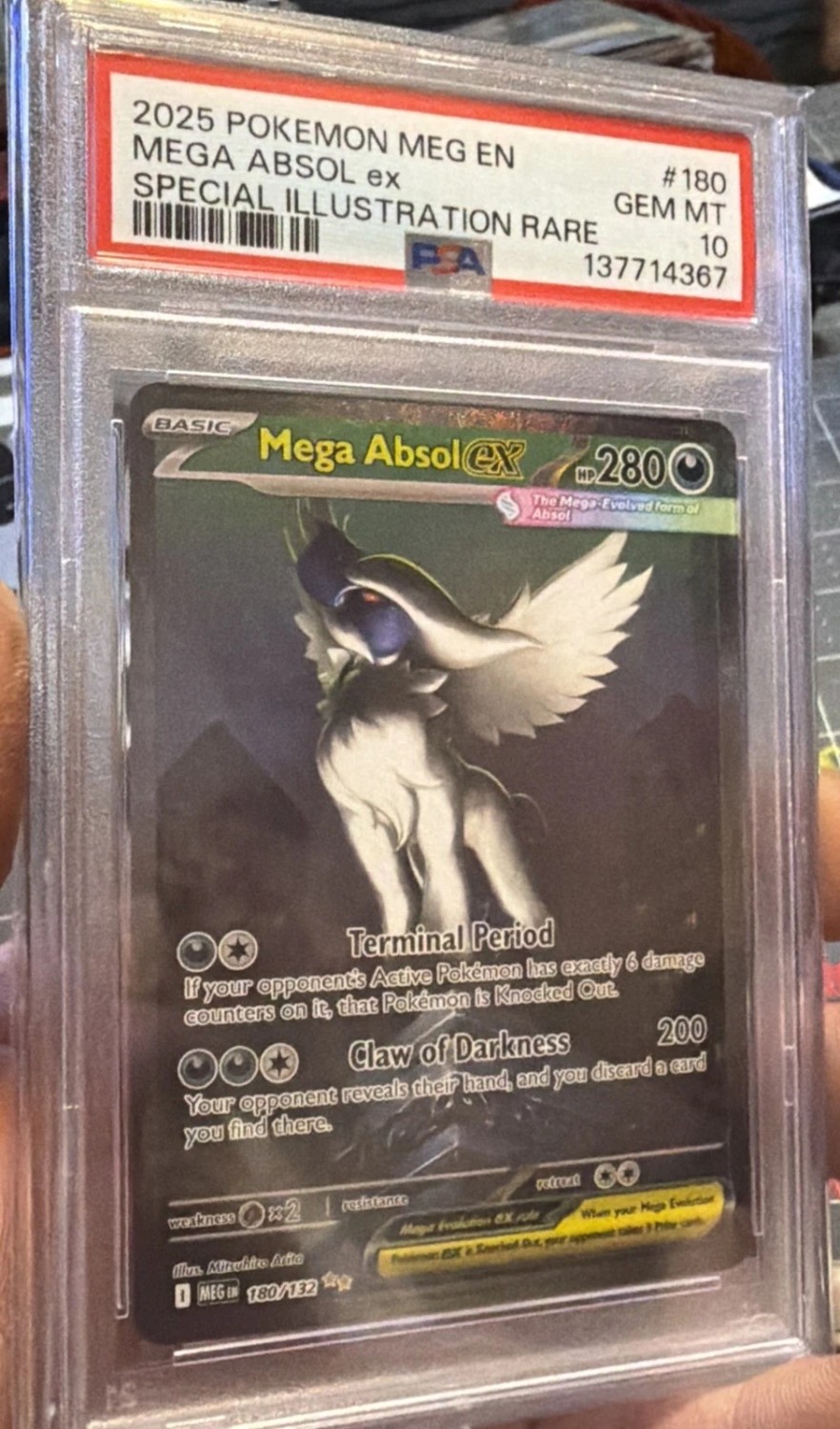 MEGA ABSOL ex