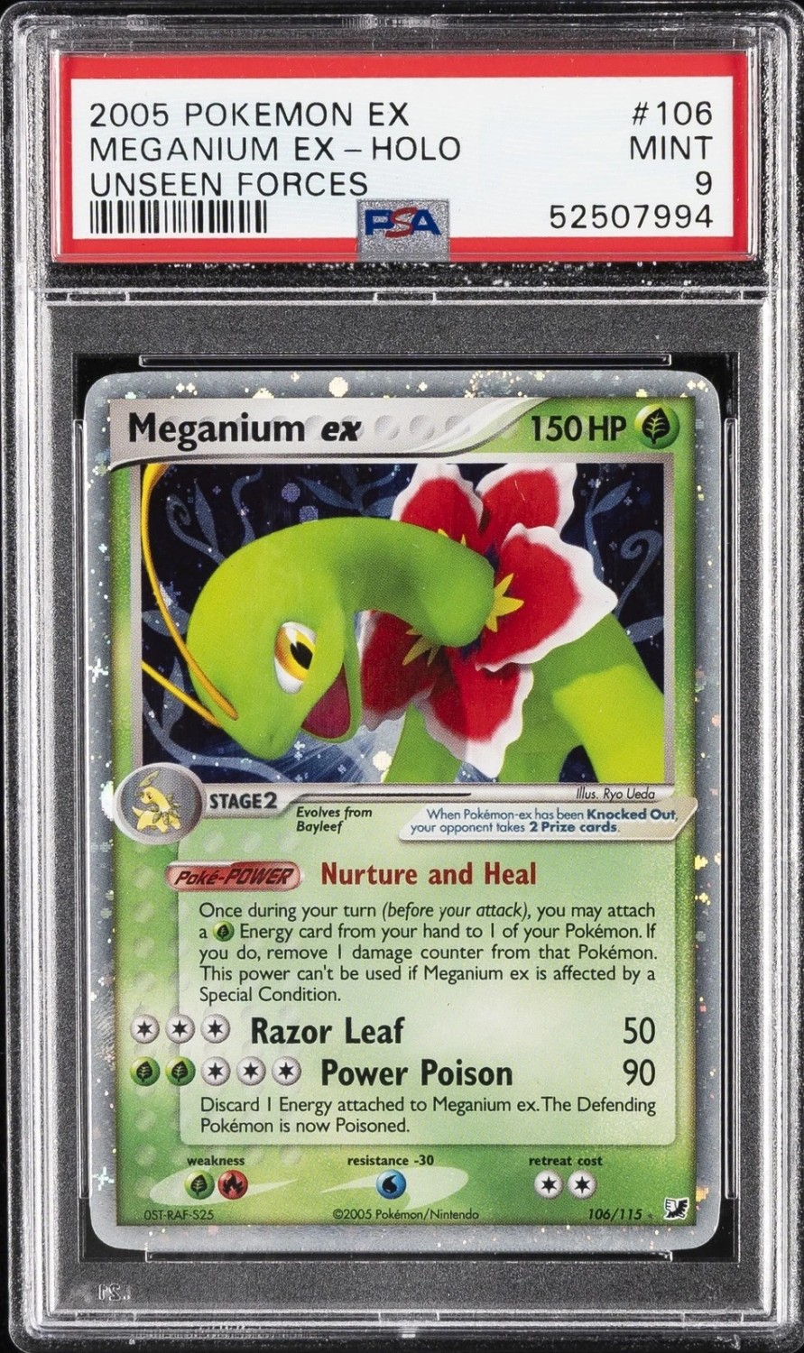 Meganium EX