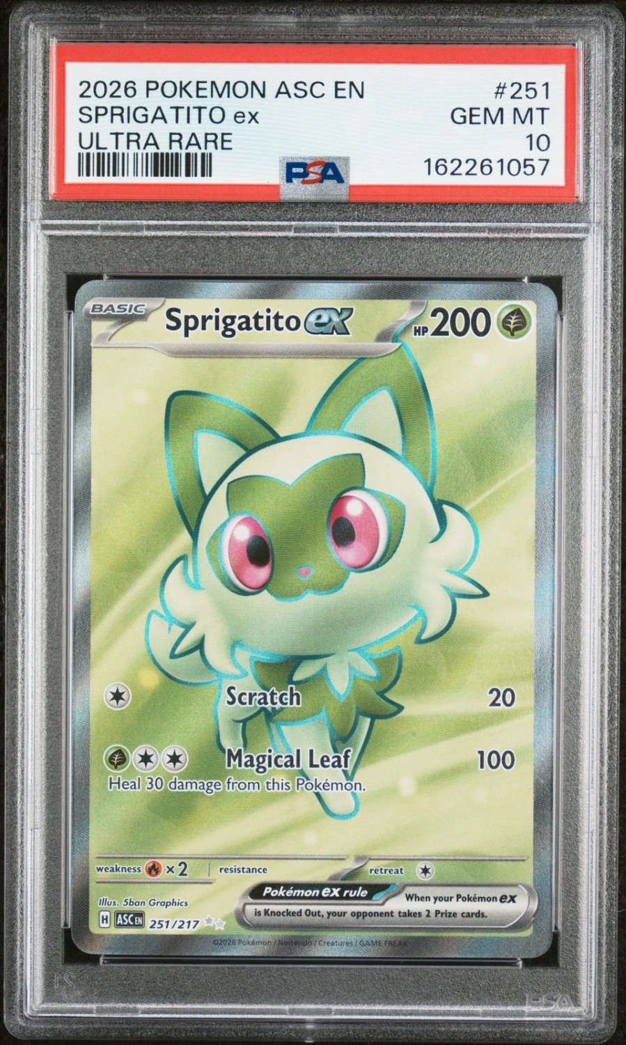 SPRIGATITO ex