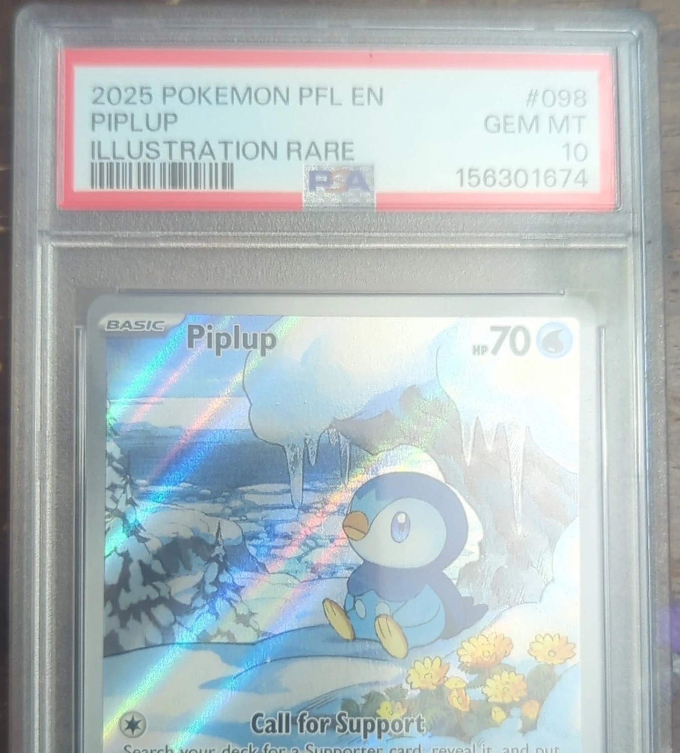 PIPLUP