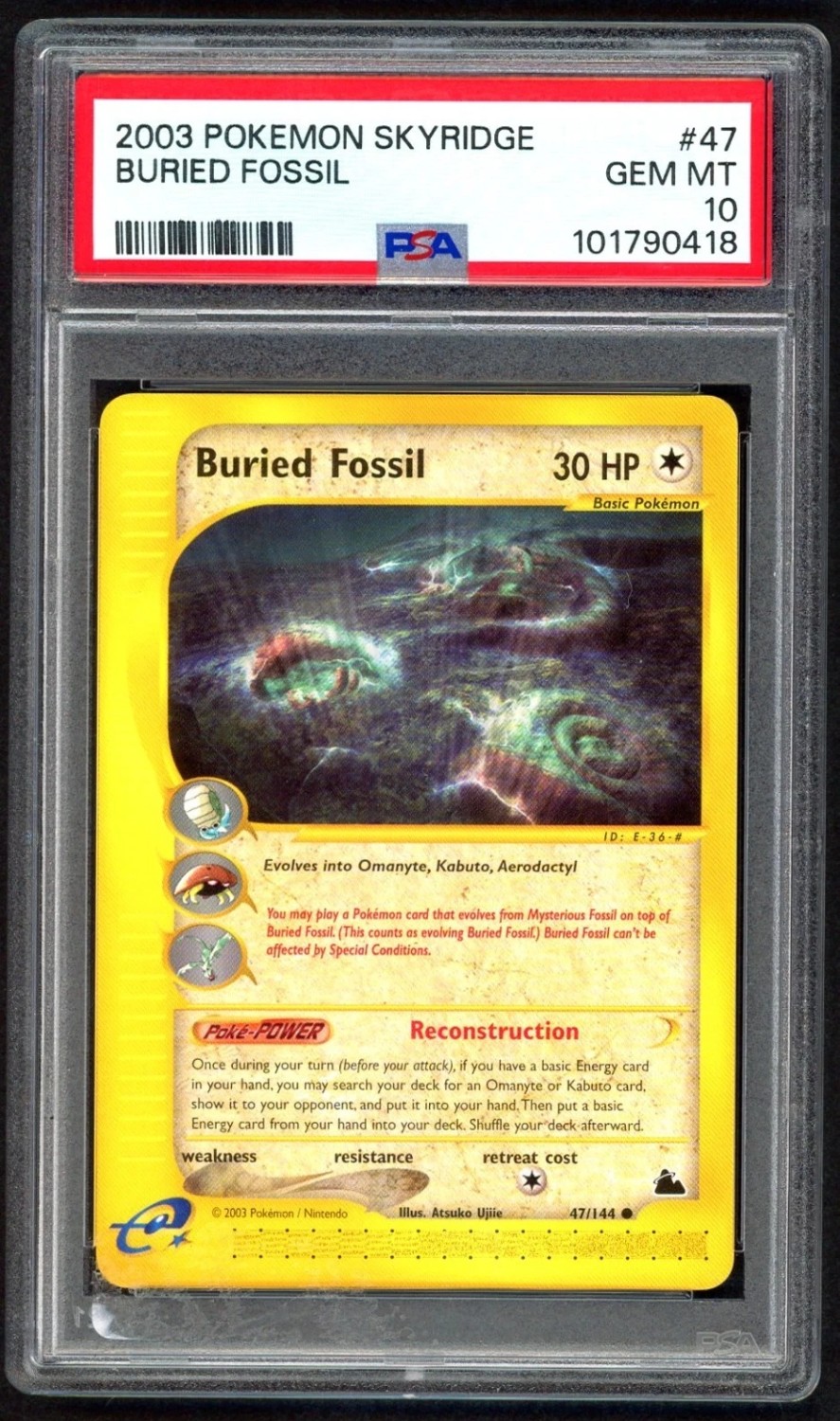 Buried Fossil C