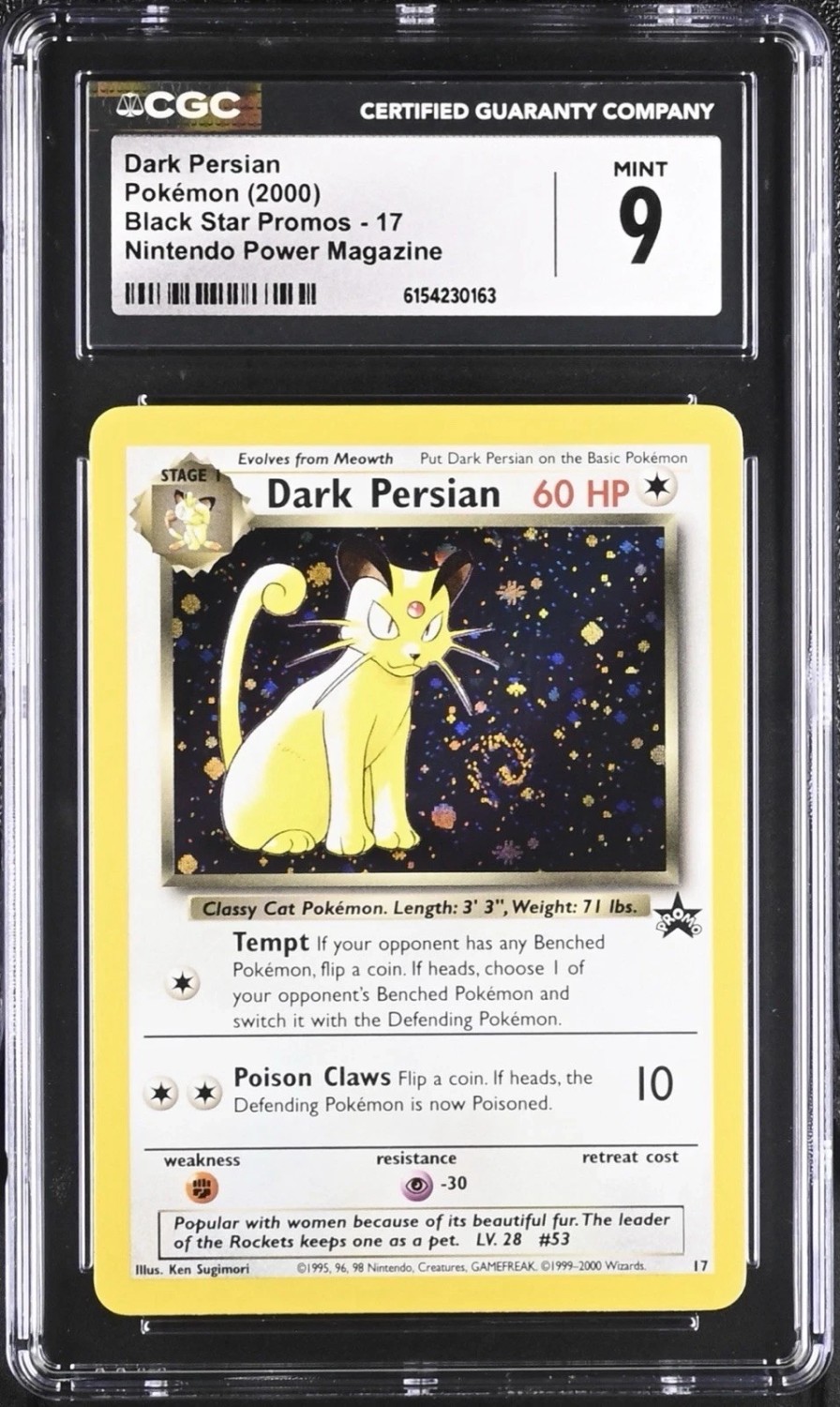 Dark Persian