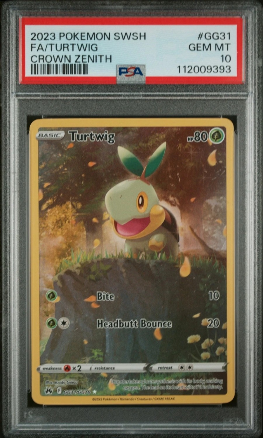 Turtwig