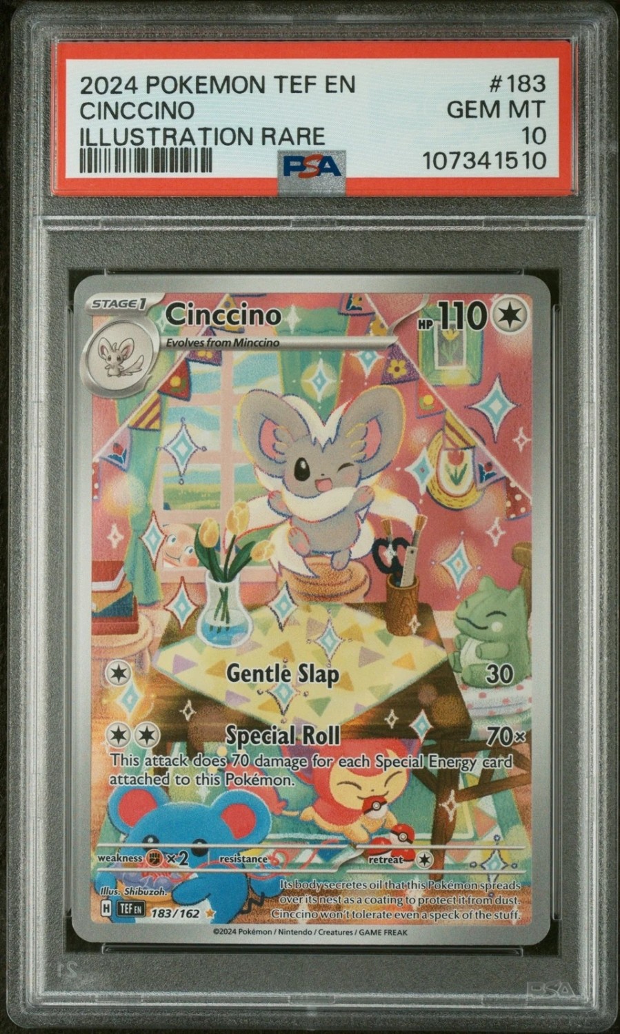 Cinccino