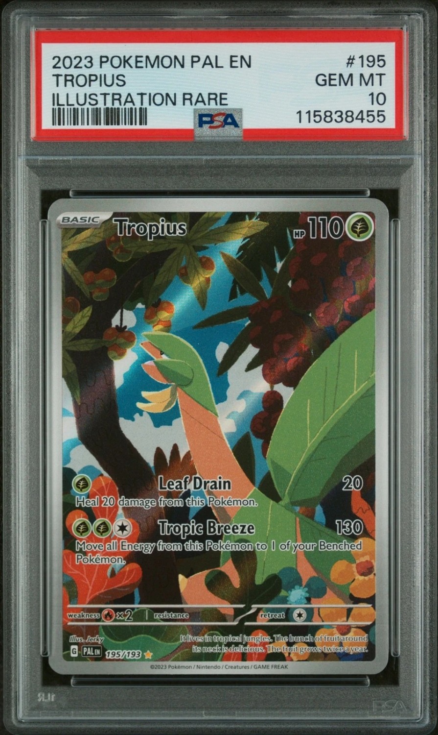 Tropius